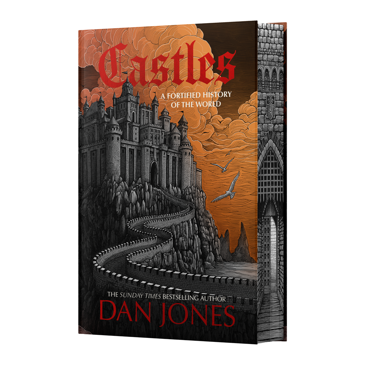 Castles: A Fortified History of the World